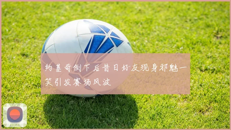 约基奇倒下后昔日好友现身邪魅一笑引发赛场风波